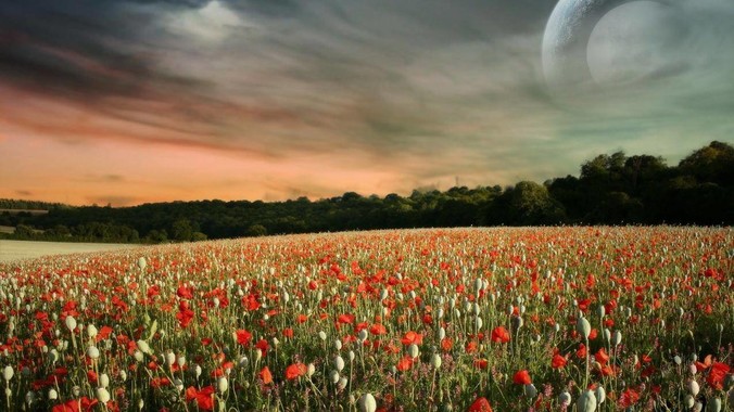 为什么日本经济下降,大学排名跌至谷底,还有那么多人挤破脑袋去日本留学?